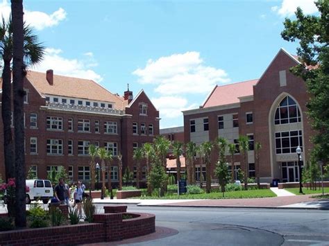 university  florida