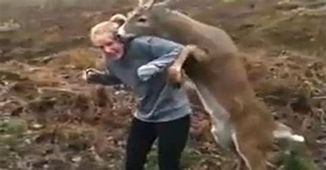 deer tries to mate with teenage girl hysterical and scary all at the