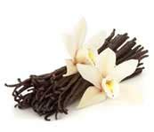 vanilla nutrition facts culinary  medicinal benefits recipes notes