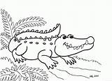 Crocodile sketch template