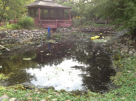 pond service maintenance  cleanouts gem ponds