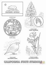 California State Coloring Symbols Pages Printable Drawing History Map Regions Tree Flag Crafts Outline Missions Printablee Printables Bird Book Flower sketch template