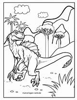 Dinosaurier Ausmalbilder Ausmalen sketch template