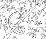 Chameleon Printable sketch template