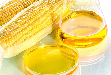 10 reasons why high fructose corn syrup is dangerous for
