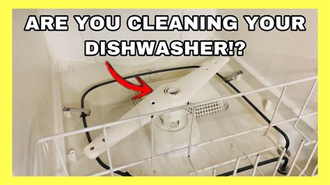 clean  dishwasher  baking soda vinegar fast easy