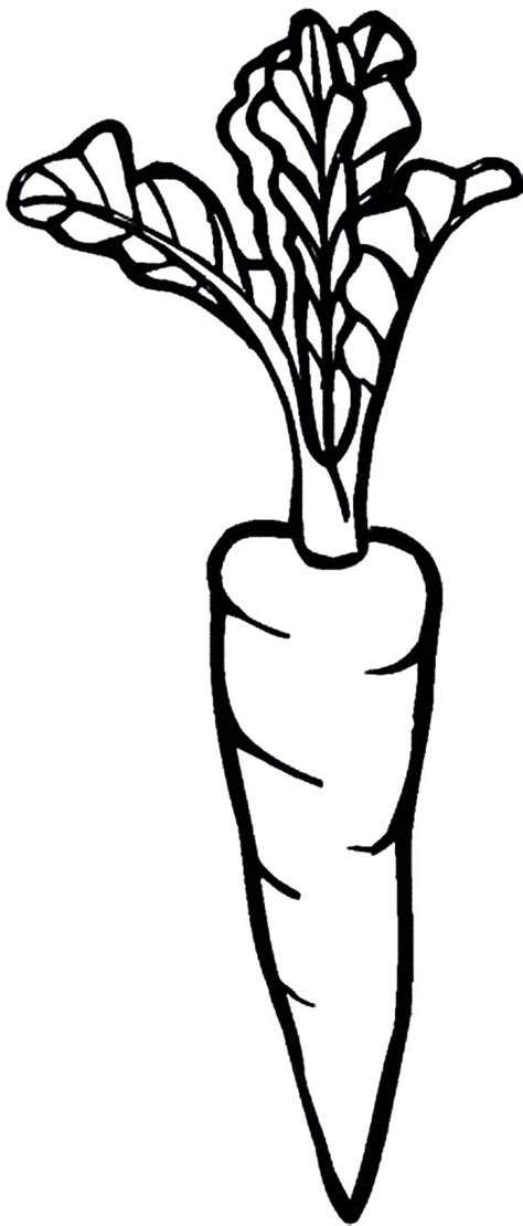 nutrious carrot coloring pages  place  color