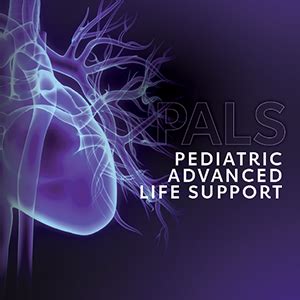 pals provider  american heart association international