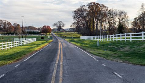 rural scenery   road stock photo  image  north