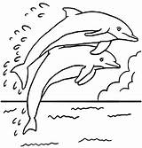 Golfinhos Golfinho Pintar Comofazeremcasa sketch template