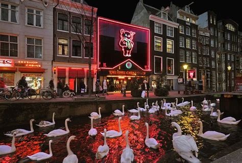 Casa Rosso Amsterdam Aktuelle 2021 Lohnt Es Sich Mit Fotos