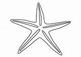 Starfish Coloring Large sketch template
