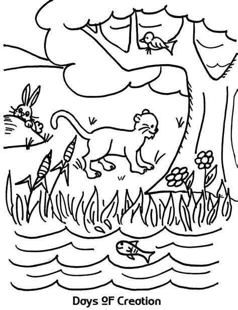 creation coloring pages printable coloring pages