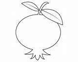 Clipart Pomegranate Printable Coloring Pages Fruit Webstockreview Fruits sketch template