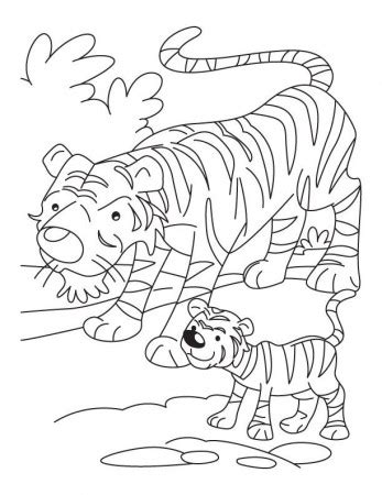 tiger cub coloring page twisty noodle coloring home