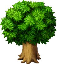 tree transparent gif find  gifer