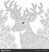 Herten Zentangle Kleurplaten Reindeer Deer Downloaden Uitprinten sketch template