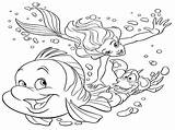 Coloring Sea Pages Ocean Kids Under Printable Print Animals Mermaid Color Little Colouring Shell Disney Animal Clipart Harmony Seashell Arctic sketch template