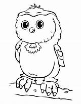 Coloring Owl Burrowing Getcolorings sketch template