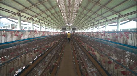 visit   egg farm agriculture monthly
