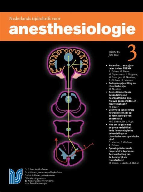 pijn en pijnbestrijding nederlandse vereniging voor anesthesiologie