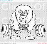 Clip Weightlifting Lion Outline Illustration Cartoon Transparent Rf Royalty Toonaday sketch template