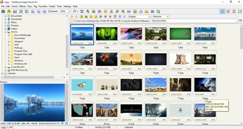 photo organizing software  windows mac flowing prints