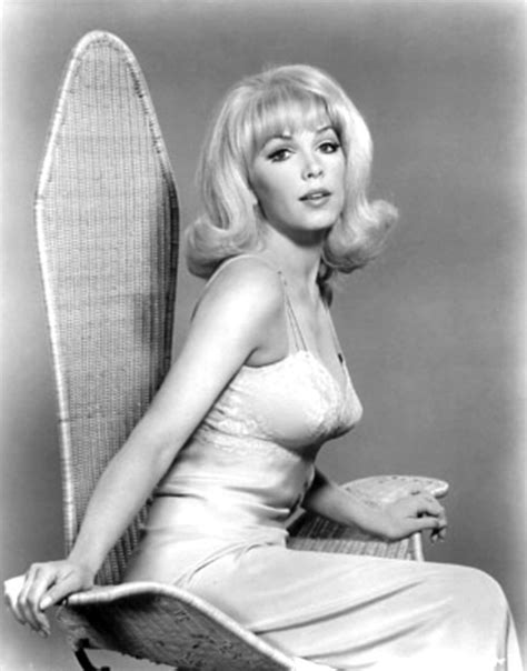 76 best stella stevens images on pinterest actresses artists and celebrities