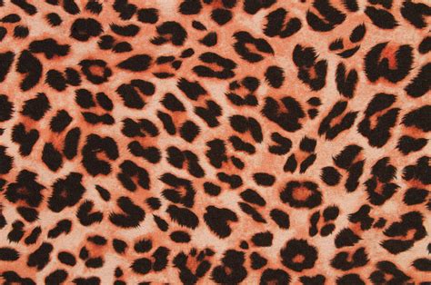 cheetah print pattern background  jon schulte