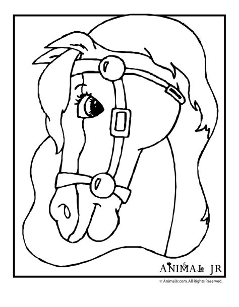 ynaly horses  ponies coloring pages