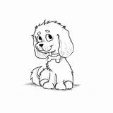 King Cavalier Spaniel sketch template