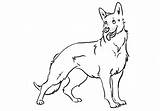 Shepherd German Coloring Pages Dog Drawing Line Shepard Drawings Puppy Kids Print Color Printable Dogs Sheets Animal Puppies Kindergarten Getdrawings sketch template