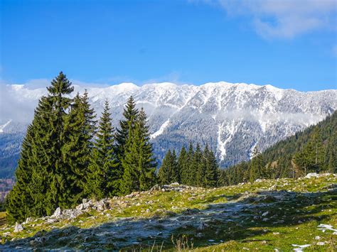 easy winter hiking   carpathians romaniatourstore