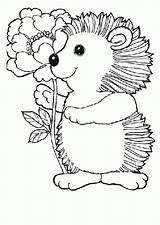 Igel Malvorlagen Tiere Ricci Fools Hedgehog Malvorlage Erwachsene Schulkindergarten Suche sketch template