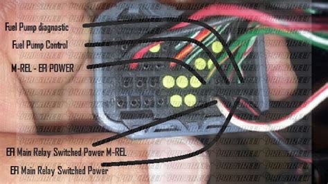 fast xfi  wiring diagram   men  charge  wiring