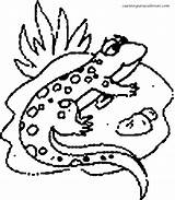 Colorear Lagartijas Colorat Soparle Desene Soparla Animale Esos Locos Bajitos P04 Planse Primiiani Lizard sketch template