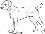 Terrier Cairn sketch template