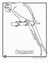 Rainforest Endangered Parro Preschool Ocean Monkey Woo Manat Parrots Ered sketch template