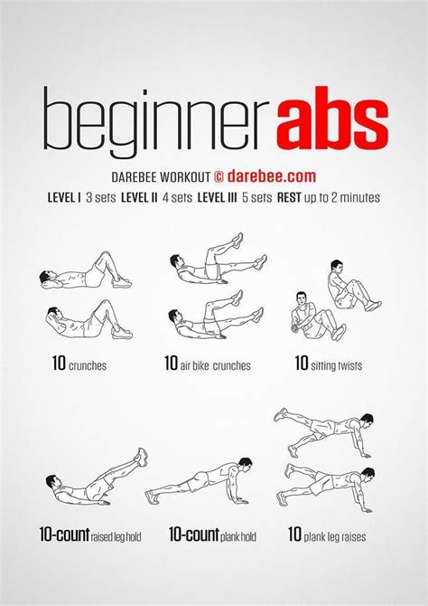beginner abs workout beginner ab workout gym workout  beginners
