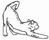 Cat Stretching Drawing Clipart sketch template