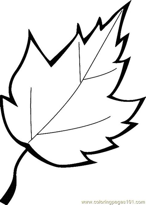 leaf shapes coloring pages coloring pages