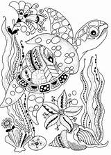 Coloring Pages Mandala Turtle Sea Ausmalbilder Colouring Sommer Adult Underwater Print Book Tiere Animal Under Books Erwachsene Zum Coloriage Ausmalen sketch template