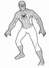 Spiderman Coloring Pages Spider Man Printable Kids Drawing Simple Print Colouring Body Procoloring Superhero Superheroes Sheets Color Drawings Lego Cartoon sketch template