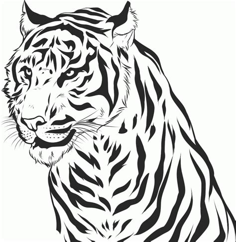 tiger printable coloring pages coloring home