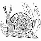 Escargot Colorare Snail Mignon Adulte Adulta Sveglia Lumaca Libro Colouring Shutterstock Whimsical Anti sketch template