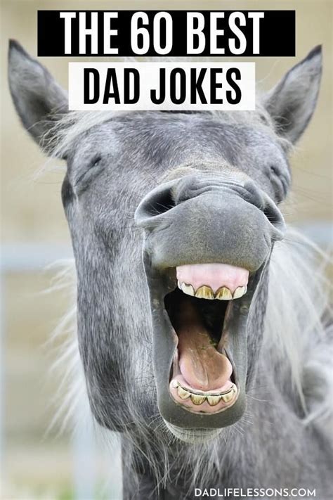 60 Best Dad Jokes So Funny Even The Wife Will Laugh Best Dad Jokes