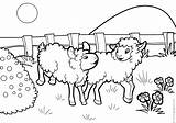 Sheep Coloring Pages Print sketch template