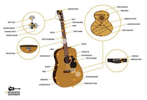 anatomy   acoustic guitar  complete guide  acoustic guitarist