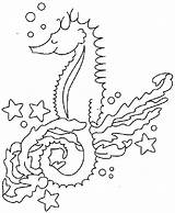 Hippocampe Colorat Animale Caluti P17 Coloring Coloriages Seahorse Gratuit Planse Primiiani Desene sketch template