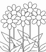 Coloring Flower Size sketch template